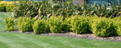 Luff Group  – Environmental design, management & maintenance