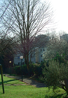 Landscape Design in the Healthcare Sector