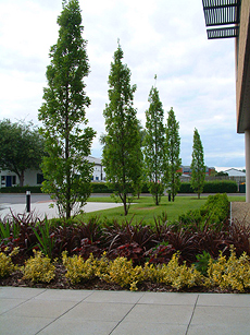 Commercial developments & business parks