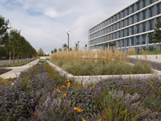 Anthony Stiff Associates - Sectors - Commercial Developments & Business Parks,  Healthcare,  Highways,  River Restoration,  Parks & Playareas,  Private Grounds,  Landscape Assessment,  Ecology & Tree Surveys