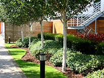 Landscape Management